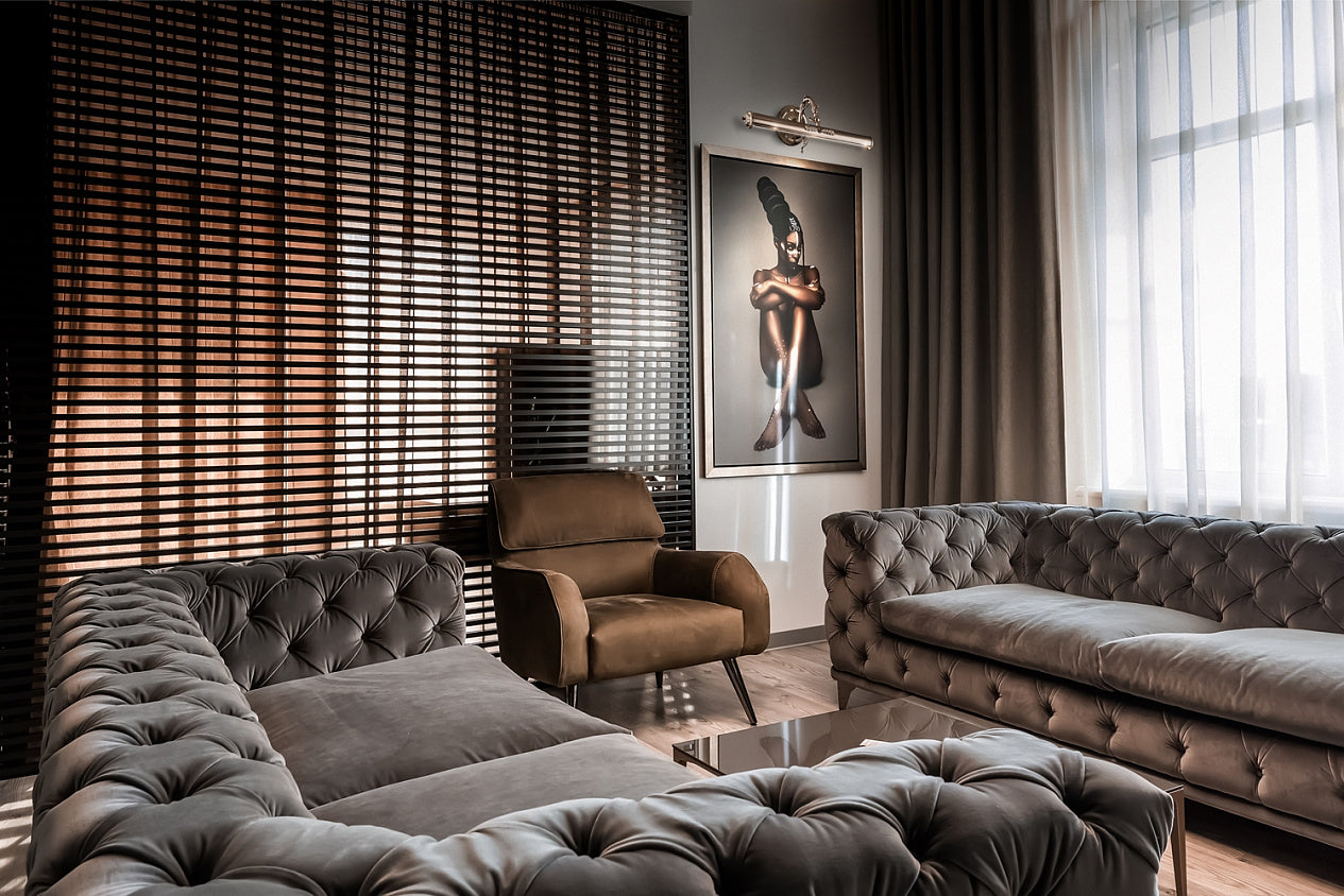 Picasso Picture Light