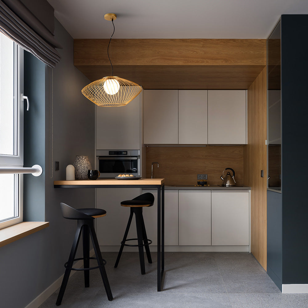 Pleco Single Light Pendant