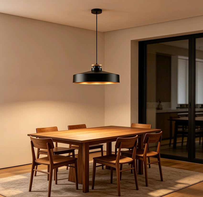 Industrial Style 1 Light Pendant