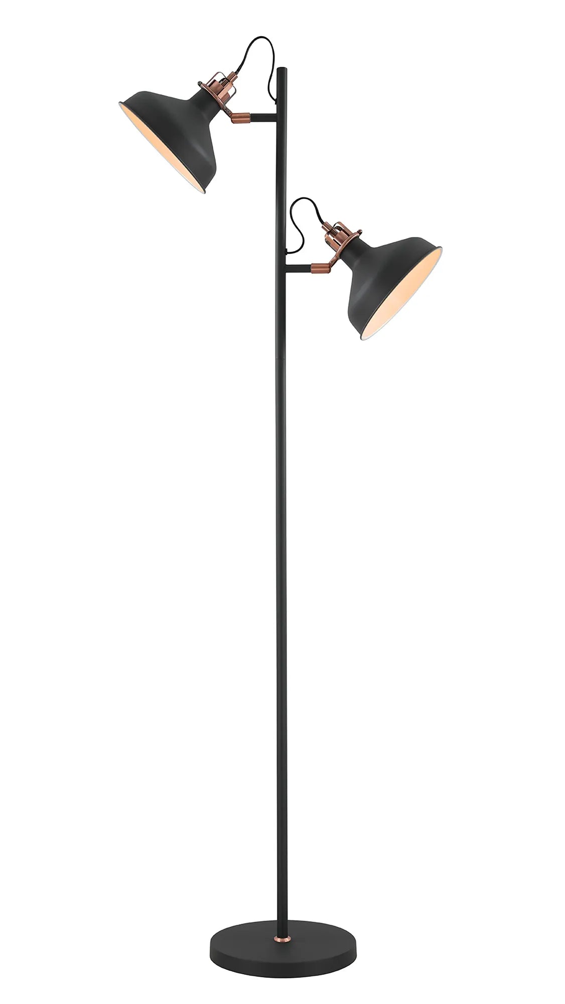 Baron 2 Light Floor Lamp
